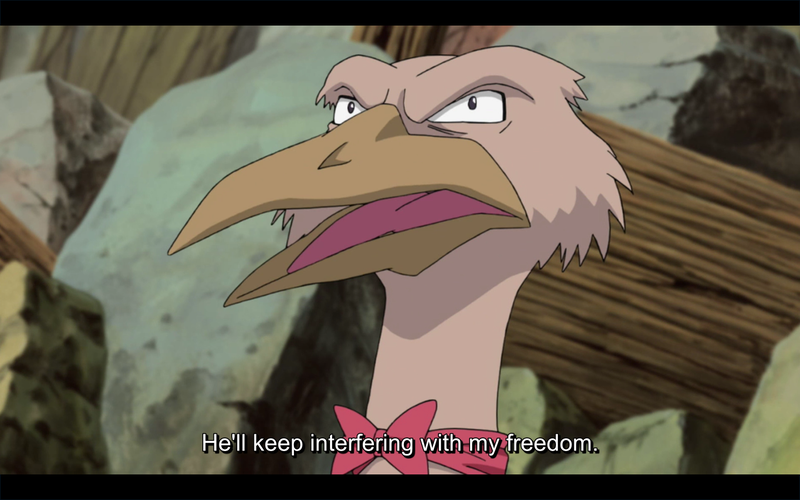 #BirdRights